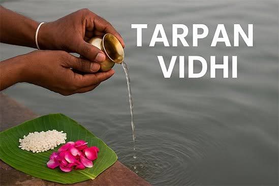Tarpan